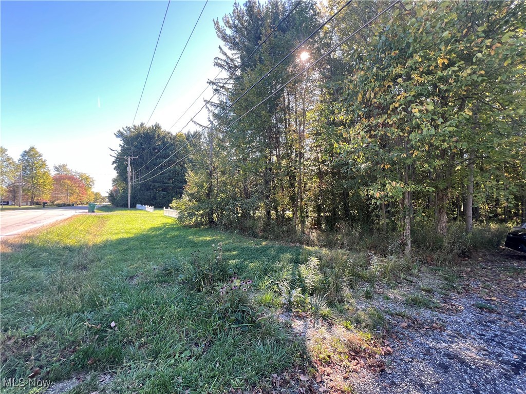 8625 Bainbridge Road Chagrin Falls, OH 44023 - Photo 1 of 20 View of yard
