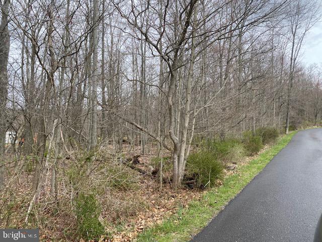 Slabtown Rd Mount Mount Savage, MD 21545 - Photo 2 of 6