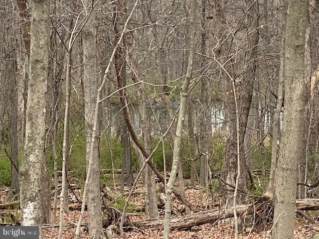 Slabtown Rd Mount Mount Savage, MD 21545 - Photo 5 of 6 Pond