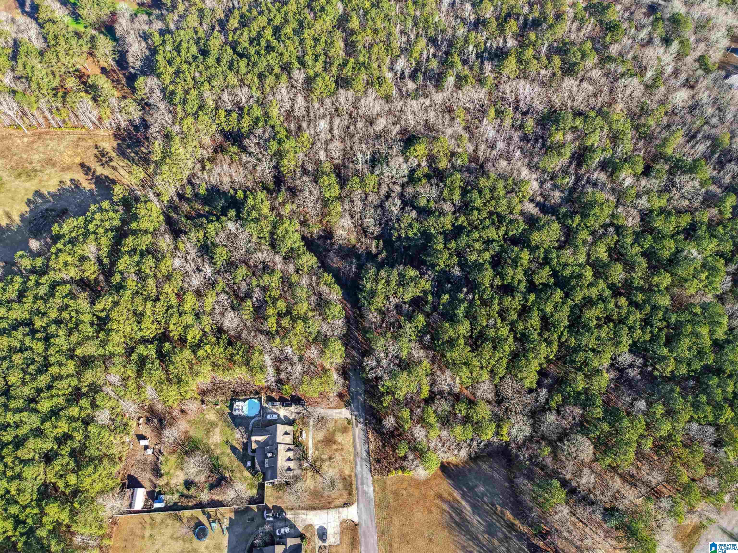 0 Branch Cove, Unit PHASE 2 Odenville, AL 35120 - Photo 22 of 32