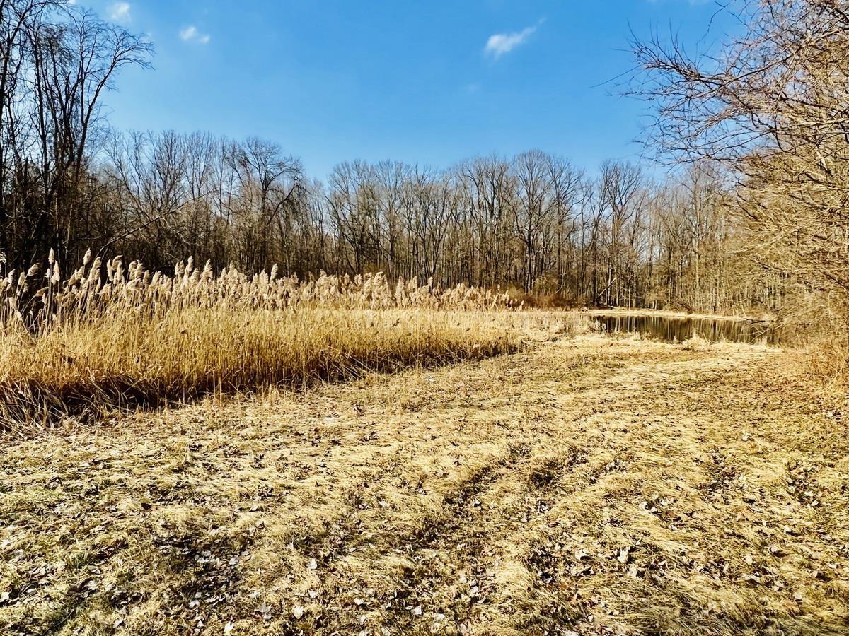 22433 Kern Road South Bend, IN 46614 - Photo 4 of 7 Gallery Image 4