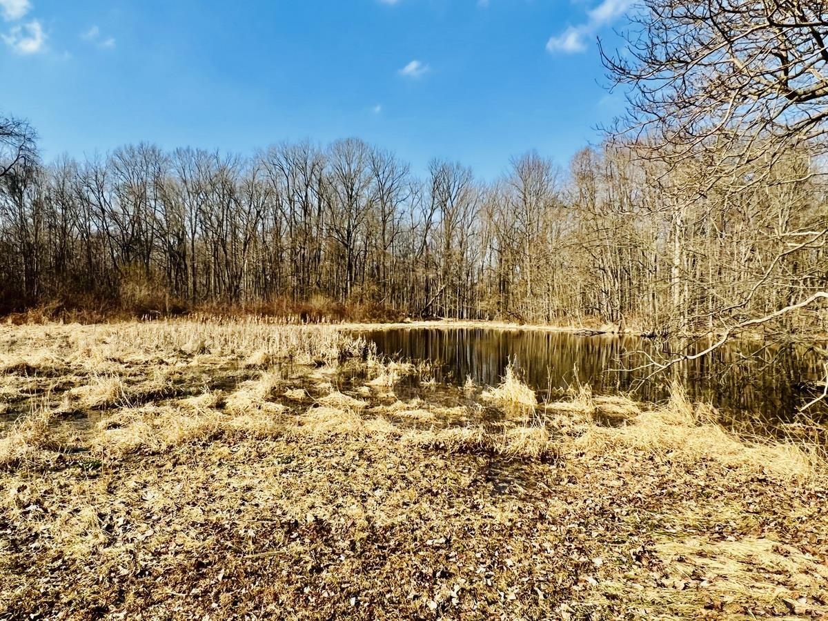 22433 Kern Road South Bend, IN 46614 - Photo 5 of 7 Gallery Image 5