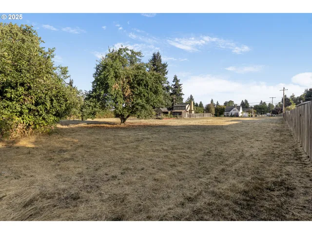 a view of outdoor space with yard and trees in the background
