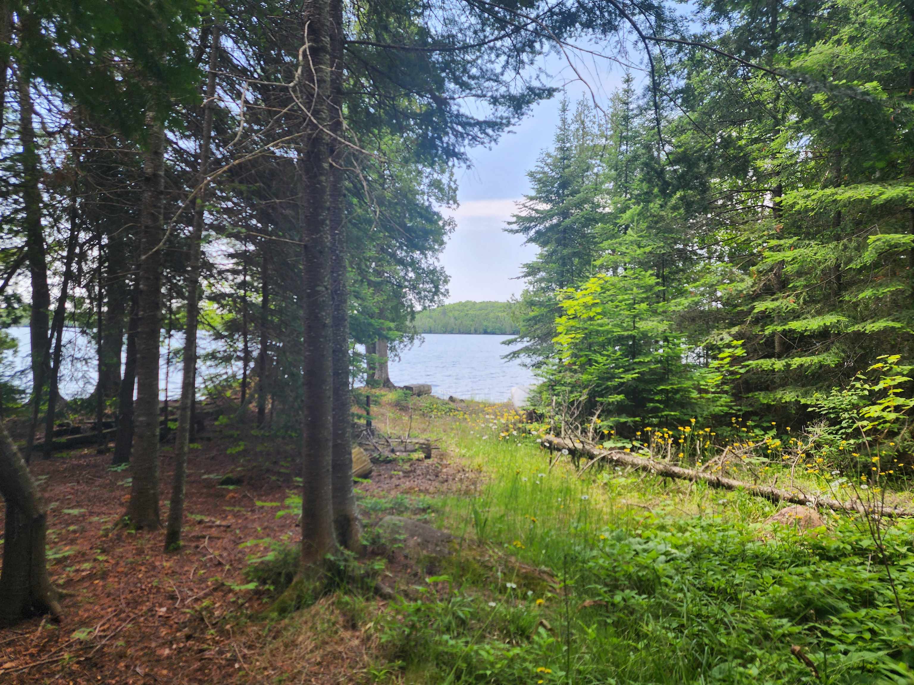 192 West Deeryard Lake Road Lutsen, MN 55612 - Photo 51 of 70