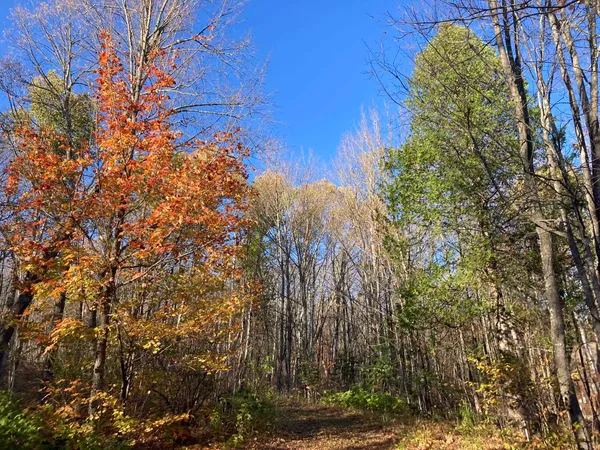 $599,000 | 192 West Deeryard Lake Road, Lutsen, MN 55612