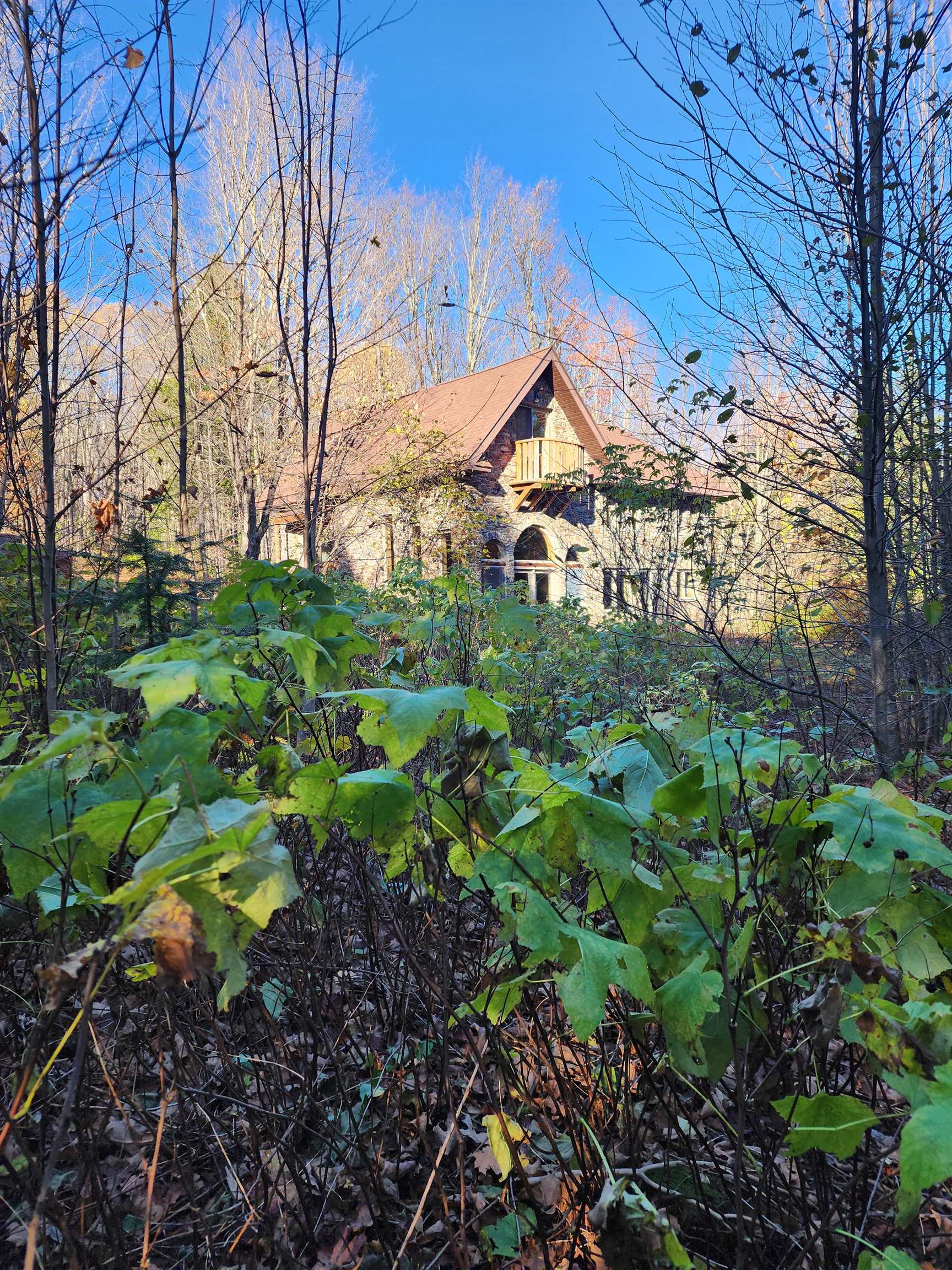 192 West Deeryard Lake Road Lutsen, MN 55612 - Photo 66 of 70