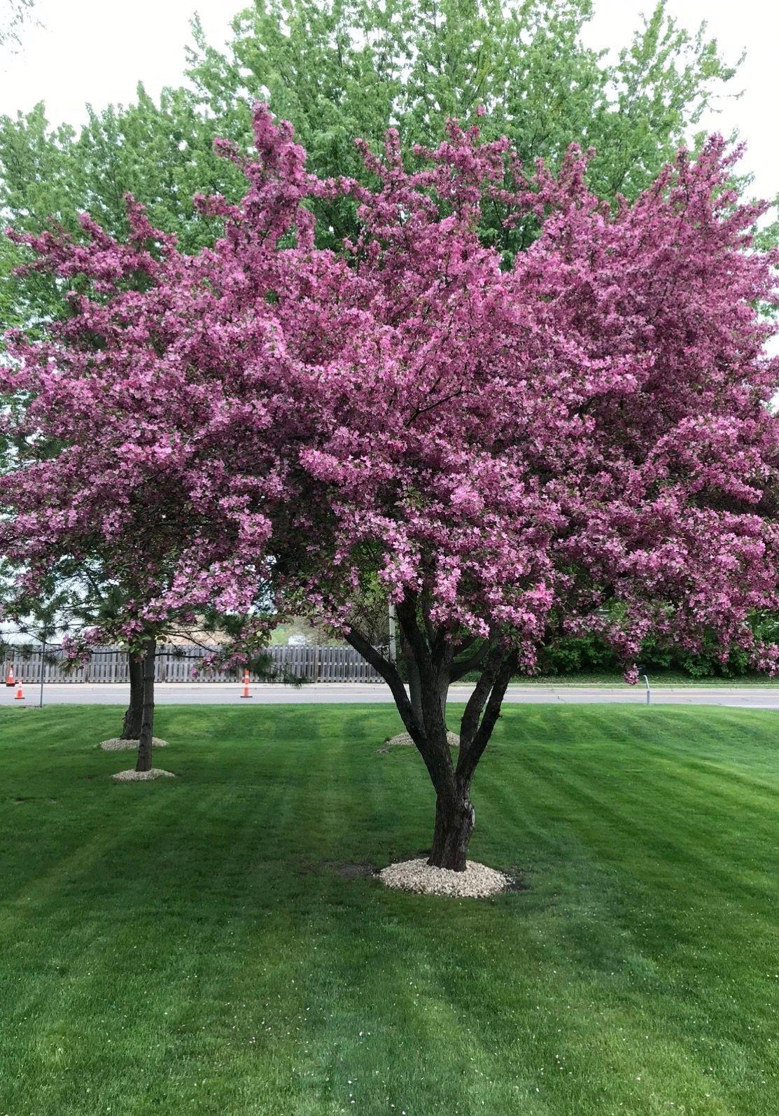 1866 County Rd F East White Bear Lake, MN 55110 - Photo 4 of 40