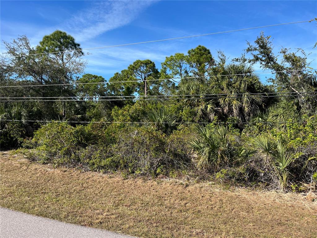 10590 Aztec Road Port Charlotte, FL 33981 - Photo 3 of 6