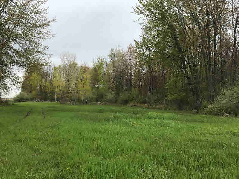 0 East Cottage Grove Road Linwood, MI 48631 - Photo 2 of 7