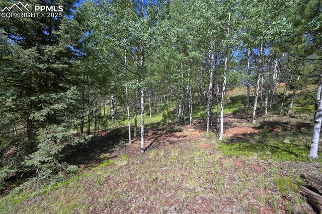 412 Princess Road Cripple Creek, CO 80813 - Photo 39 of 45 Gallery Image 39