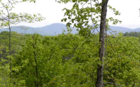 Woodthrush Lane Blue Ridge, GA 30513 - Photo 1 of 1 Main View