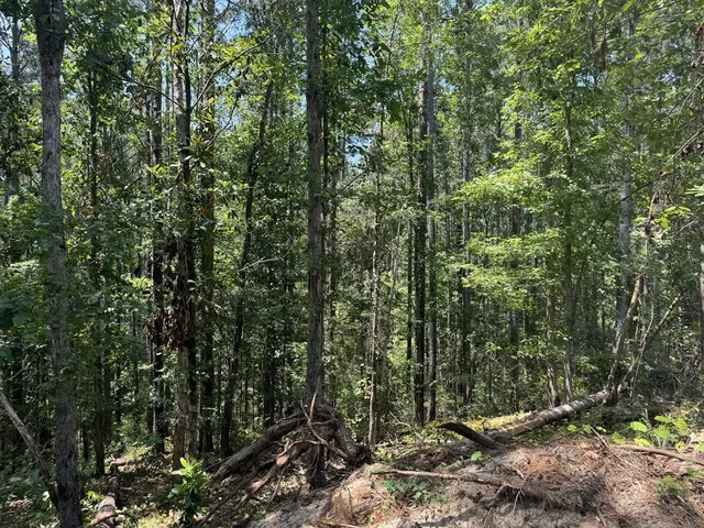 $988,500 | 0 Ms Highway, Crosby, MS 39633