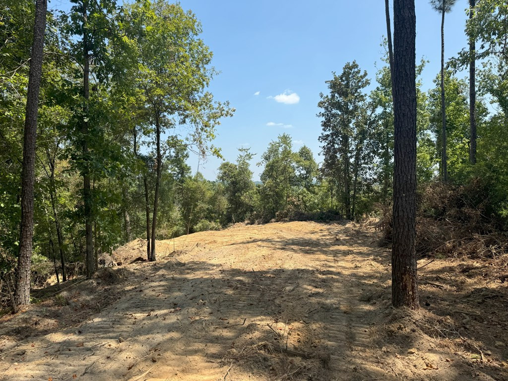 0 Ms Highway Crosby, MS 39633 - Photo 12 of 45 Photo 12