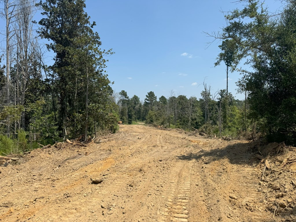 0 Ms Highway Crosby, MS 39633 - Photo 13 of 45 Photo 13