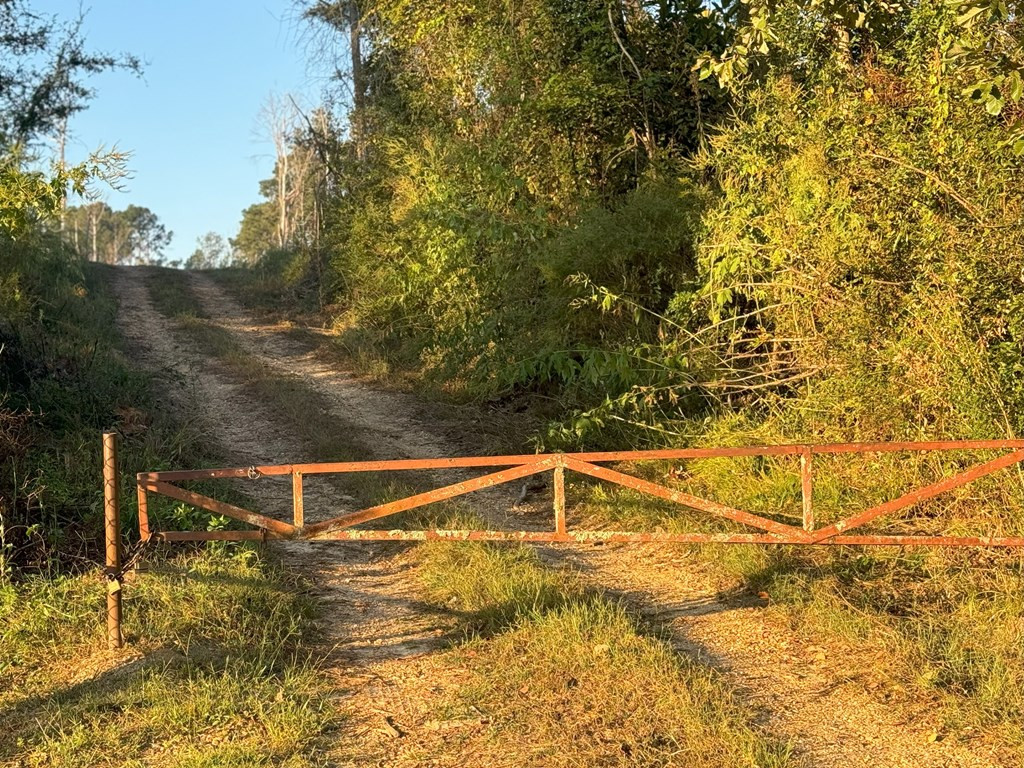 0 Ms Highway Crosby, MS 39633 - Photo 14 of 45 Photo 14