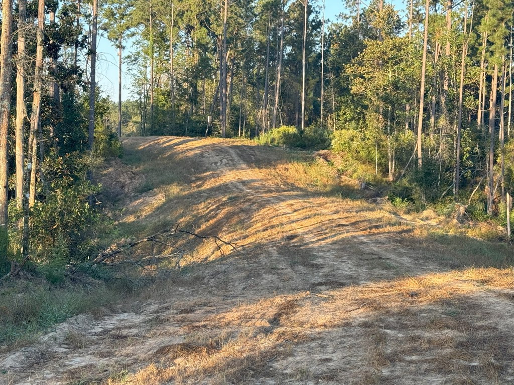 0 Ms Highway Crosby, MS 39633 - Photo 15 of 45 Photo 15