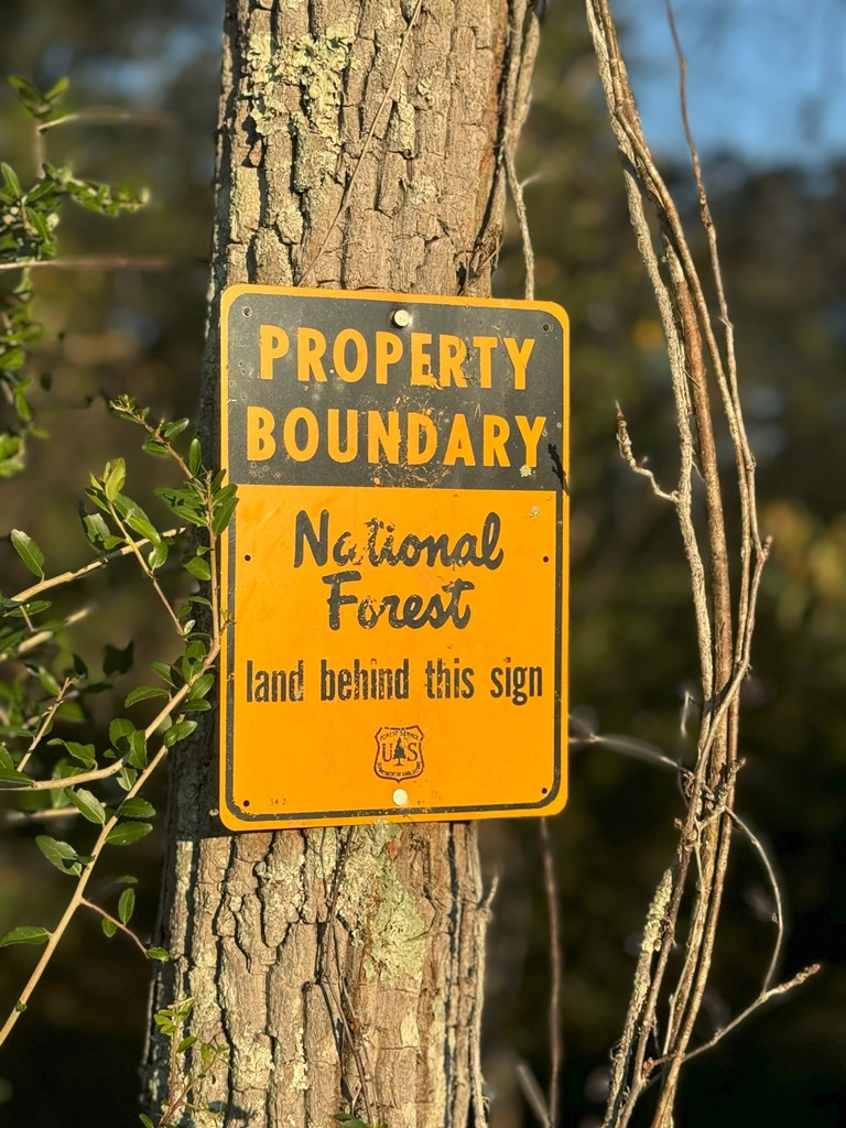 0 Ms Highway Crosby, MS 39633 - Photo 16 of 45 Photo 16