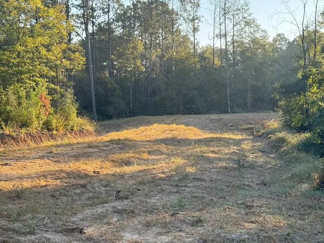 $988,500 | 0 Ms Highway, Crosby, MS 39633