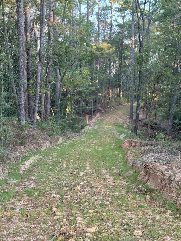0 Ms Highway Crosby, MS 39633 - Photo 18 of 45 Photo 18