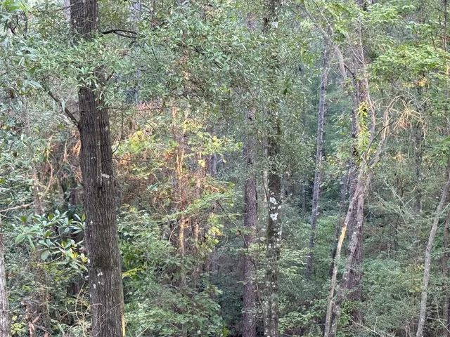 $988,500 | 0 Ms Highway, Crosby, MS 39633