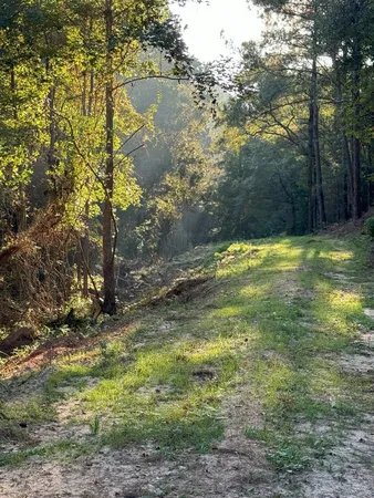 $988,500 | 0 Ms Highway, Crosby, MS 39633