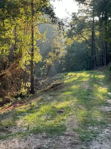 $988,500 | 0 Ms Highway, Crosby, MS 39633