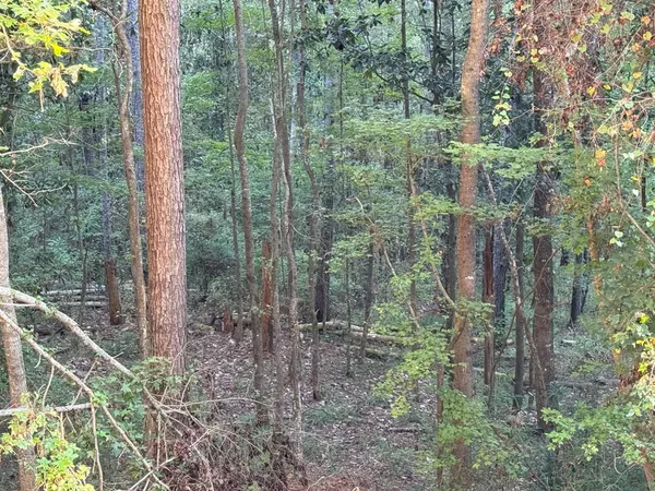 $988,500 | 0 Ms Highway, Crosby, MS 39633
