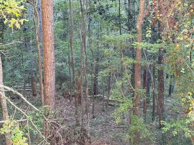 $988,500 | 0 Ms Highway, Crosby, MS 39633