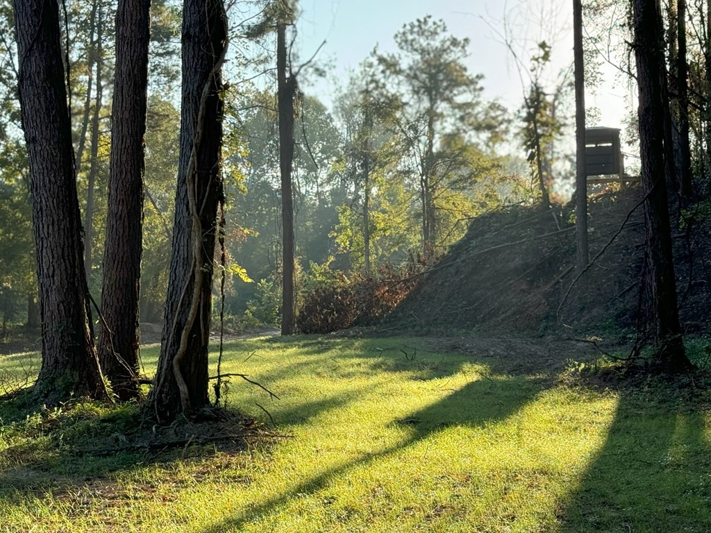 0 Ms Highway Crosby, MS 39633 - Photo 23 of 45 Photo 23