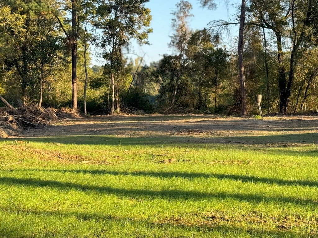 0 Ms Highway Crosby, MS 39633 - Photo 24 of 45 Photo 24