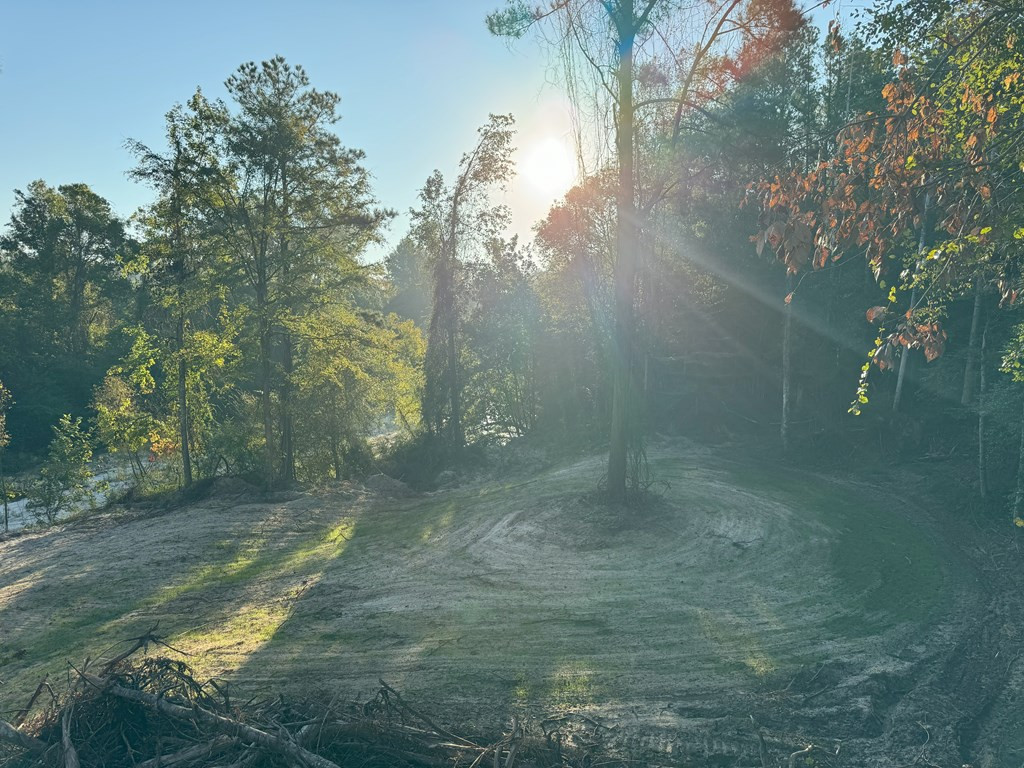 0 Ms Highway Crosby, MS 39633 - Photo 26 of 45 Photo 26