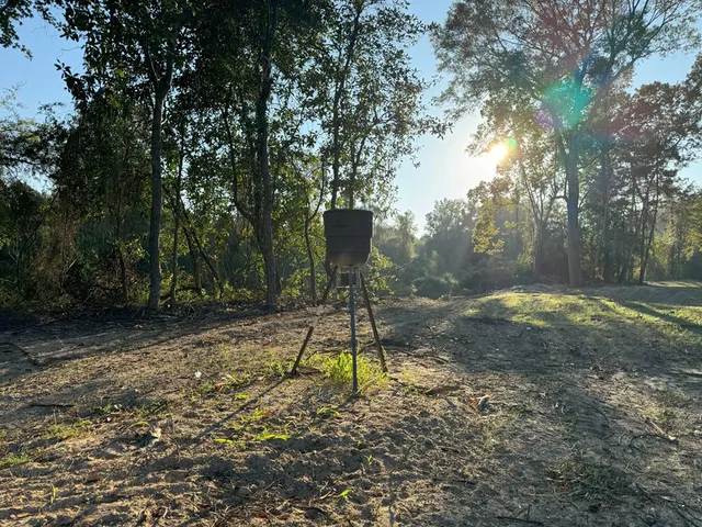 $988,500 | 0 Ms Highway, Crosby, MS 39633