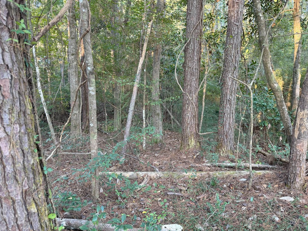 0 Ms Highway Crosby, MS 39633 - Photo 31 of 45 Photo 31