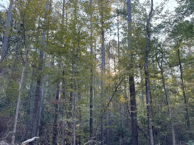 $988,500 | 0 Ms Highway, Crosby, MS 39633