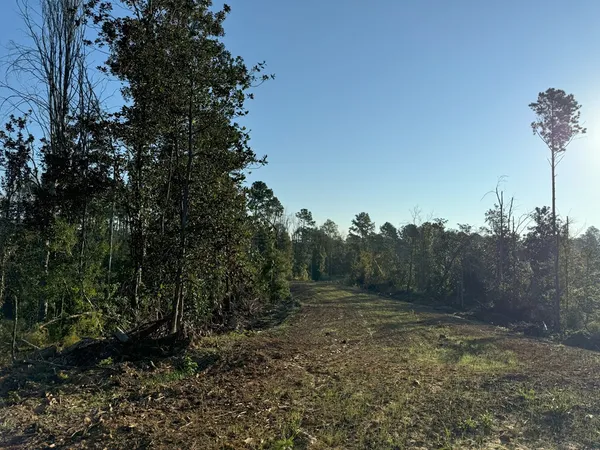 $988,500 | 0 Ms Highway, Crosby, MS 39633