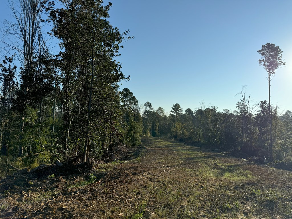 0 Ms Highway Crosby, MS 39633 - Photo 33 of 45 Photo 33