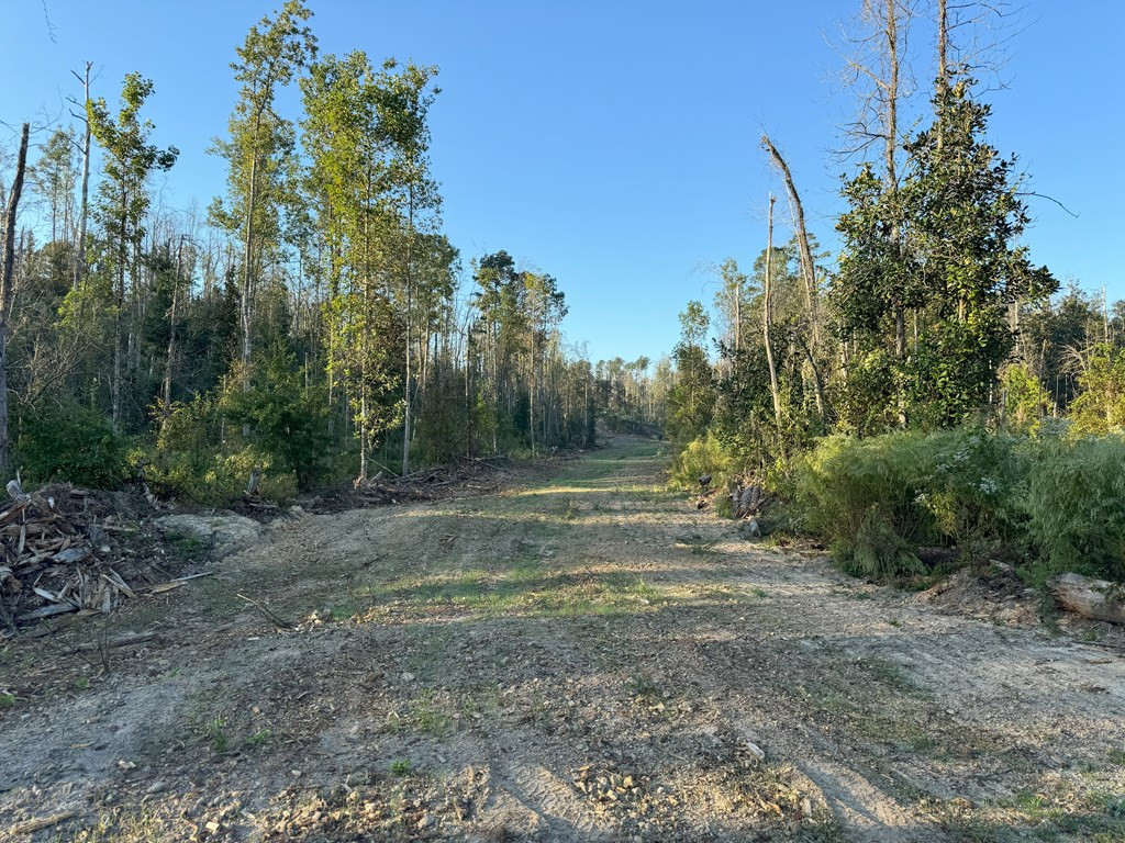 0 Ms Highway Crosby, MS 39633 - Photo 35 of 45 Photo 35