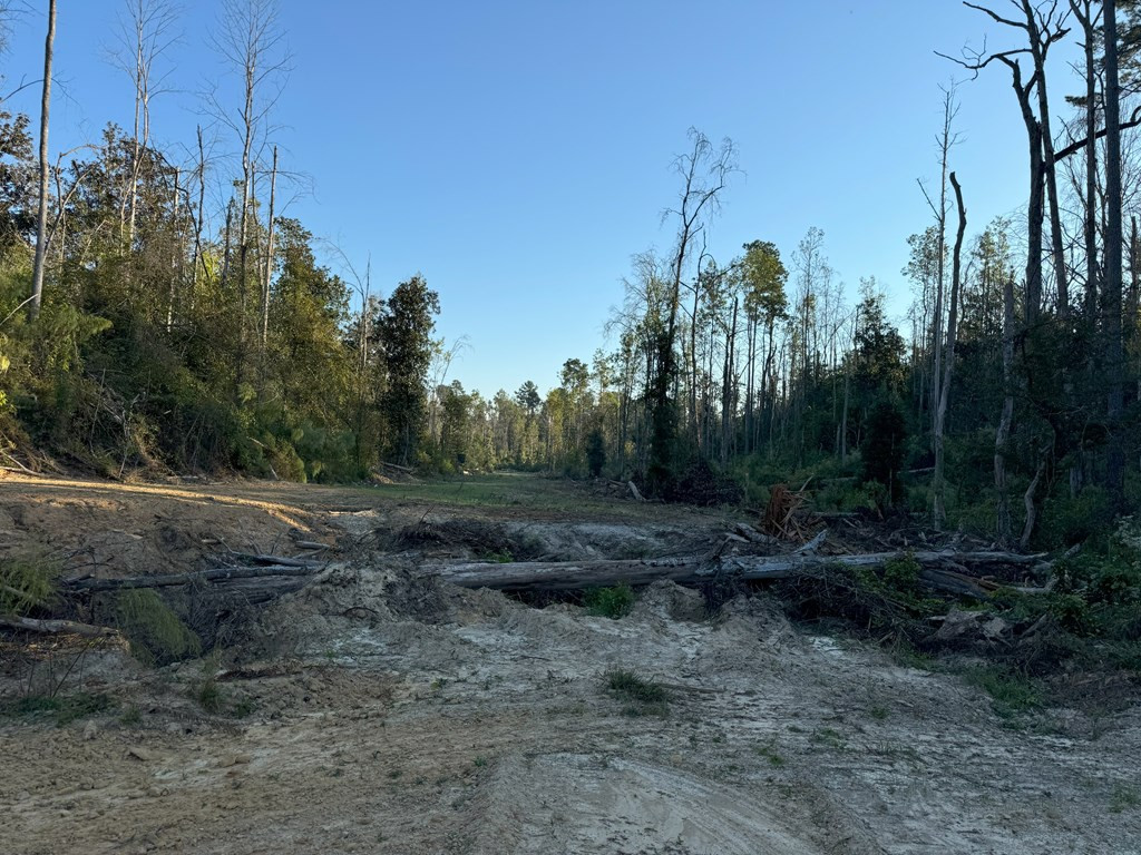 0 Ms Highway Crosby, MS 39633 - Photo 36 of 45 Photo 36