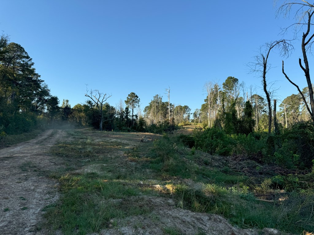 0 Ms Highway Crosby, MS 39633 - Photo 37 of 45 Photo 37