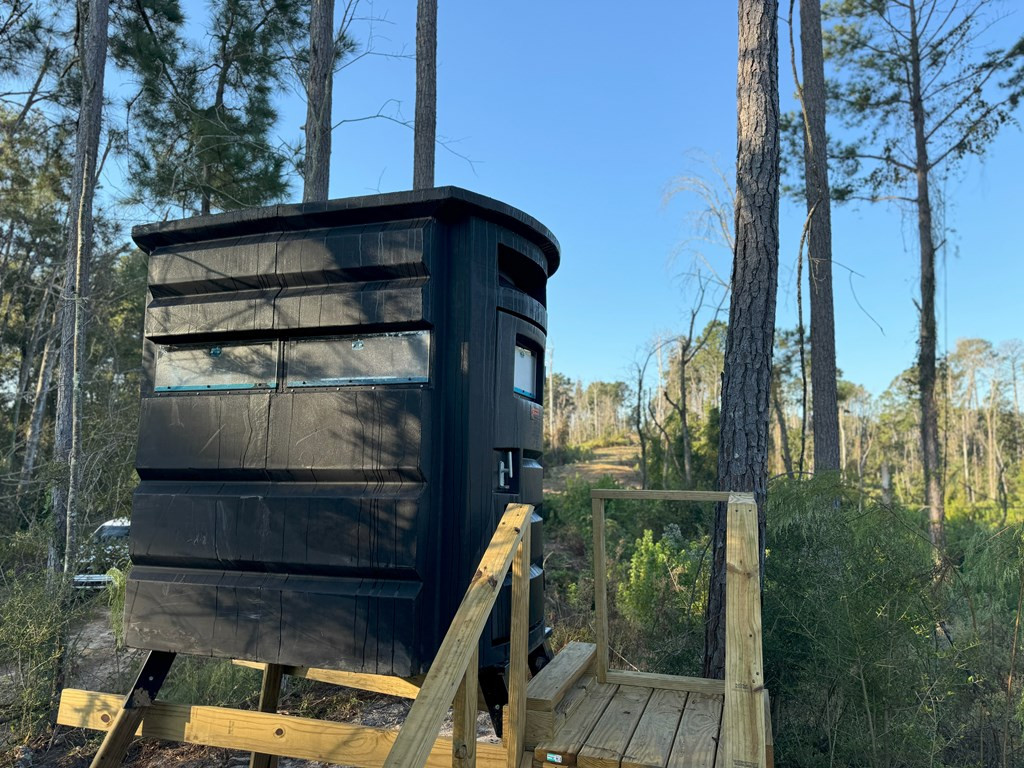 0 Ms Highway Crosby, MS 39633 - Photo 38 of 45 Photo 38