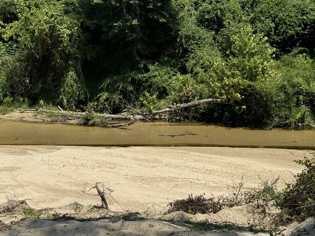 0 Ms Highway Crosby, MS 39633 - Photo 4 of 45 Photo 4