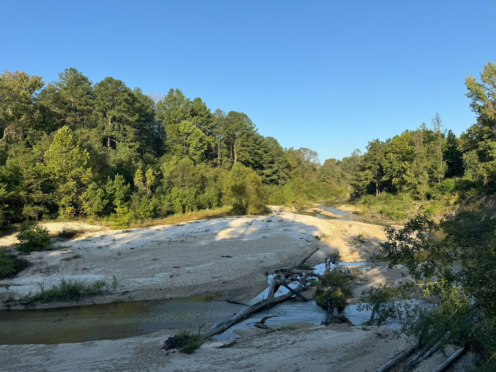0 Ms Highway Crosby, MS 39633 - Photo 41 of 45 Photo 41