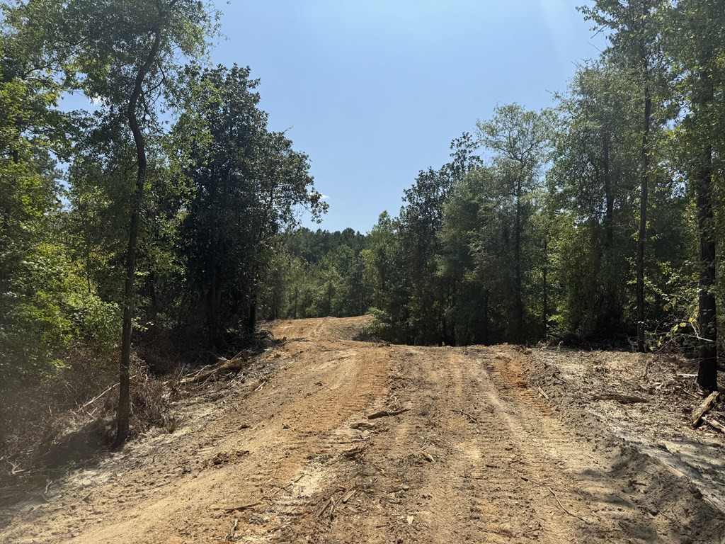 0 Ms Highway Crosby, MS 39633 - Photo 9 of 45 Photo 9