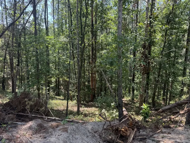 $988,500 | 0 Ms Highway, Crosby, MS 39633