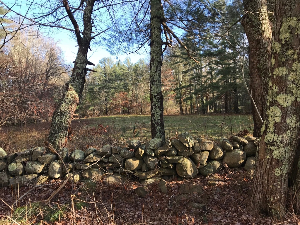 4a Old Road Duxbury, MA 02332 - Photo 1 of 18 a view of a large tree in front of a house