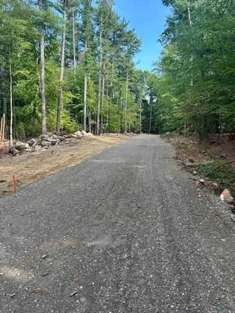 a view of an outdoor space with trees