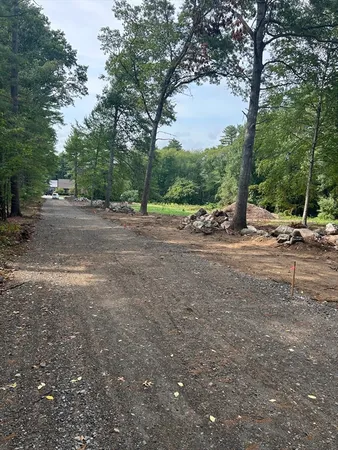 a row of outdoor space with lots of trees