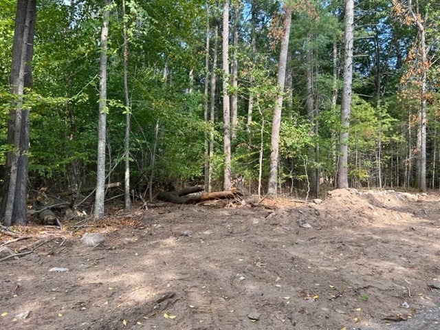 4a Old Road Duxbury, MA 02332 - Photo 2 of 18 a view of a forest filled with trees