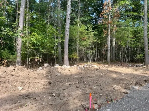 a view of a yard with plants and trees