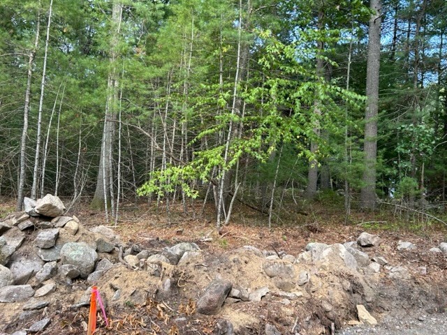 4a Old Road Duxbury, MA 02332 - Photo 5 of 18 a backyard of a house with lots of green space